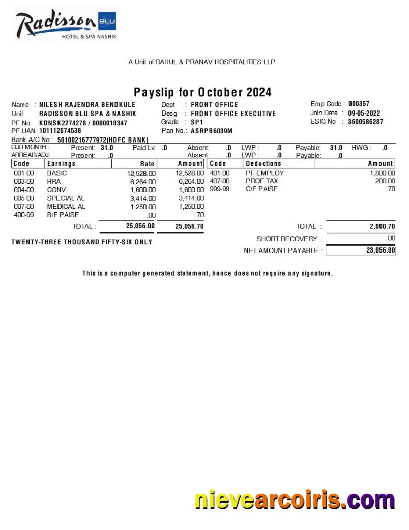 Radisson Blu Hotel & Spa payslip